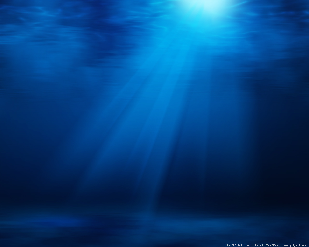 Underwater Ocean Scene Picture