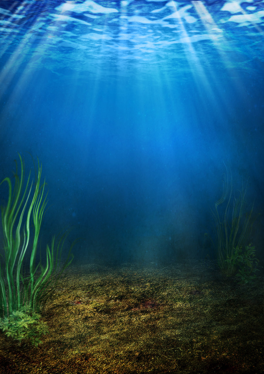 Underwater Plant Life Download