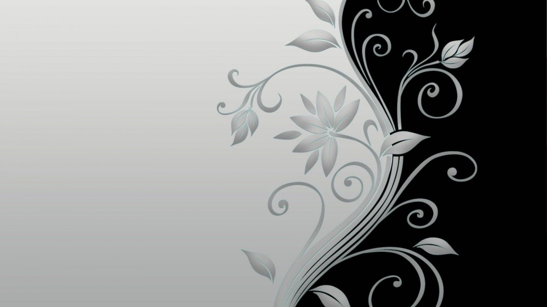 Vector Flower Black and White HD Of Vector  Hdwallpaper2013   Picture