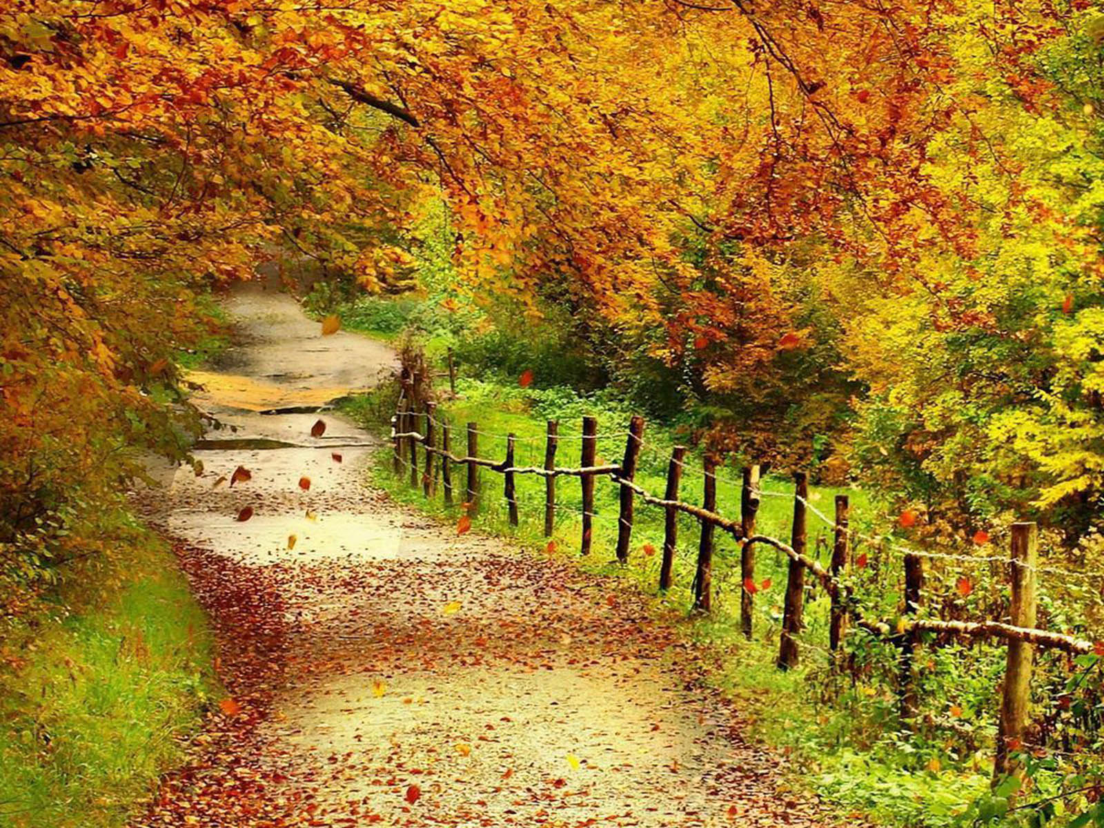 Wallpaper Super Autumn Scenerys Slides