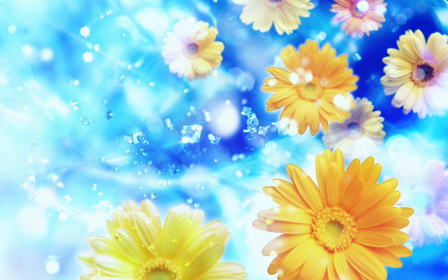 Wallpapers  HD Desktops Free Online Flowers   Art