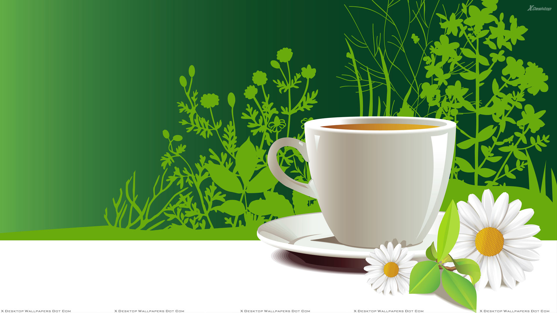 White Artistic Cup Of Tea In Plate PPT Backgrounds