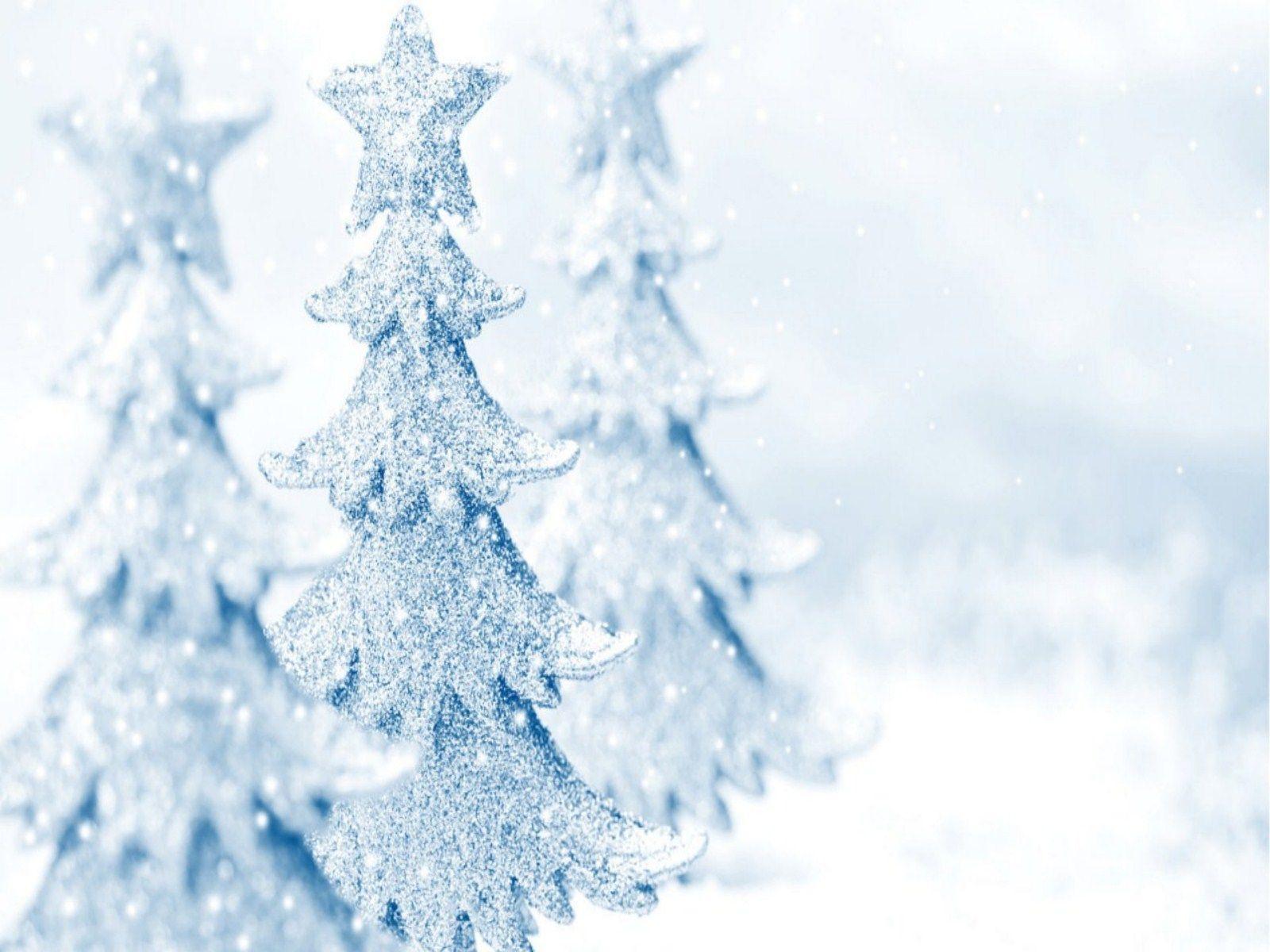 Winter and Christmas Photo