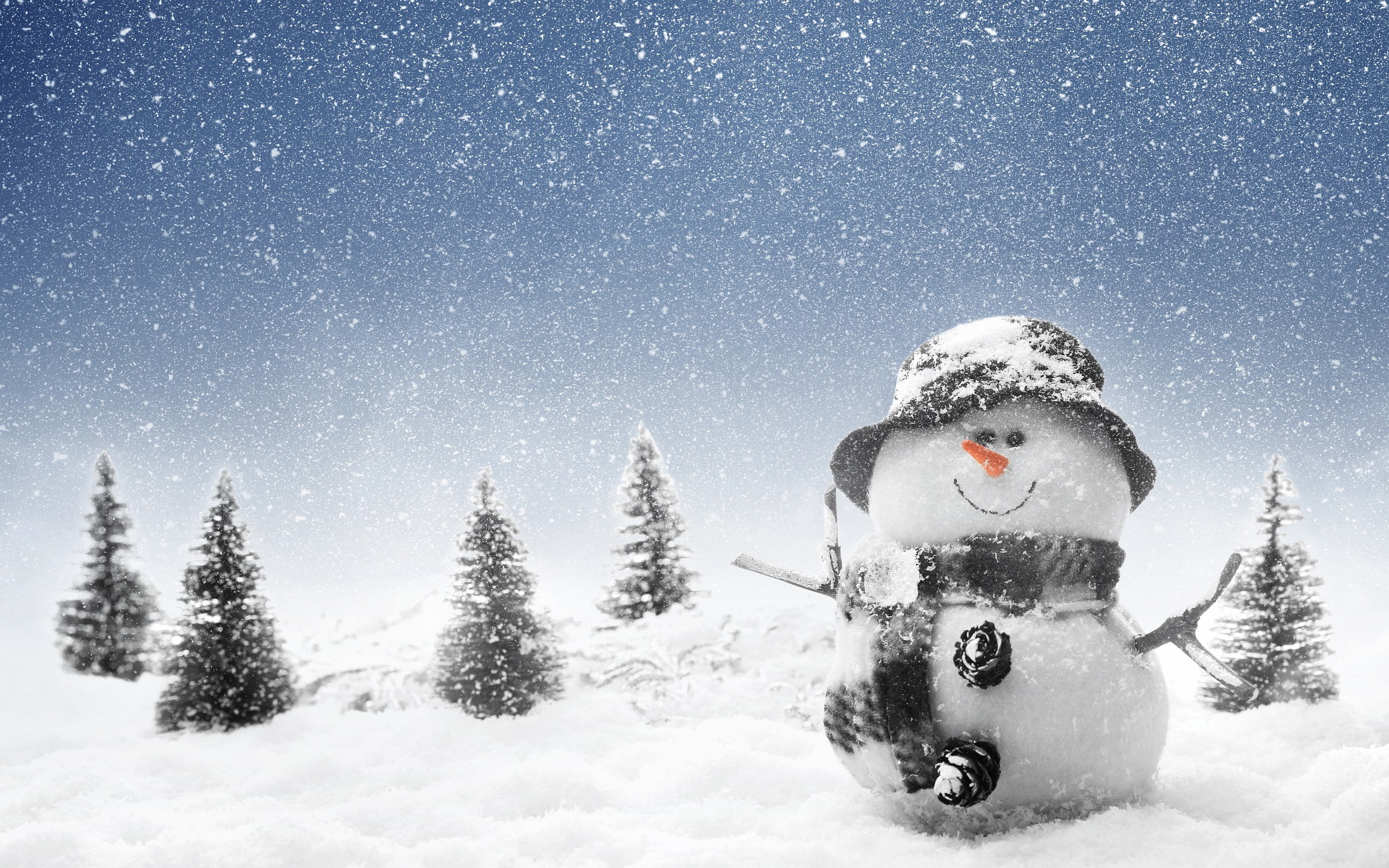 Winter Snowmans Pictures Photos Images Picture