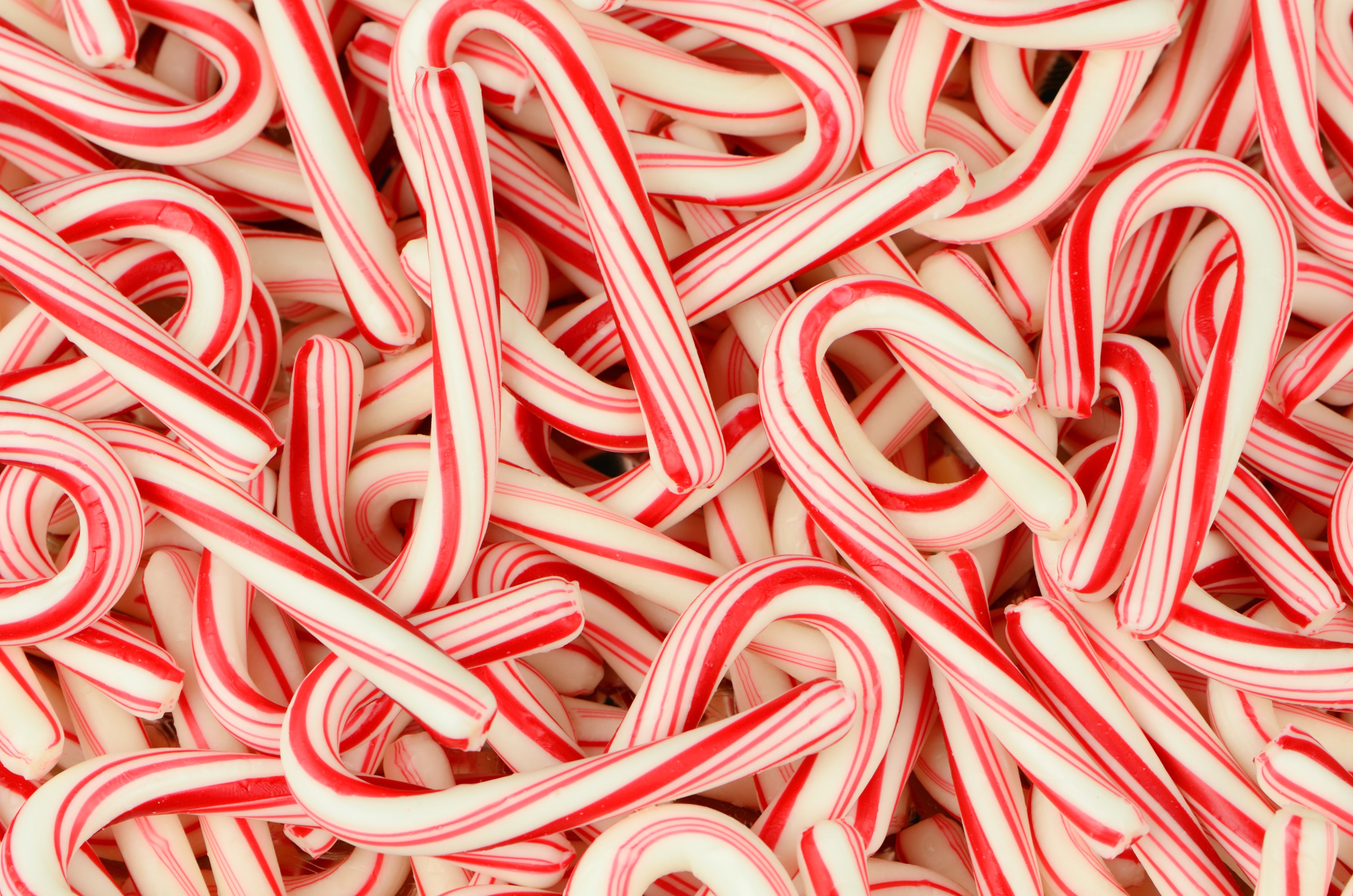 Wonderful Hd Candy Cane Photo