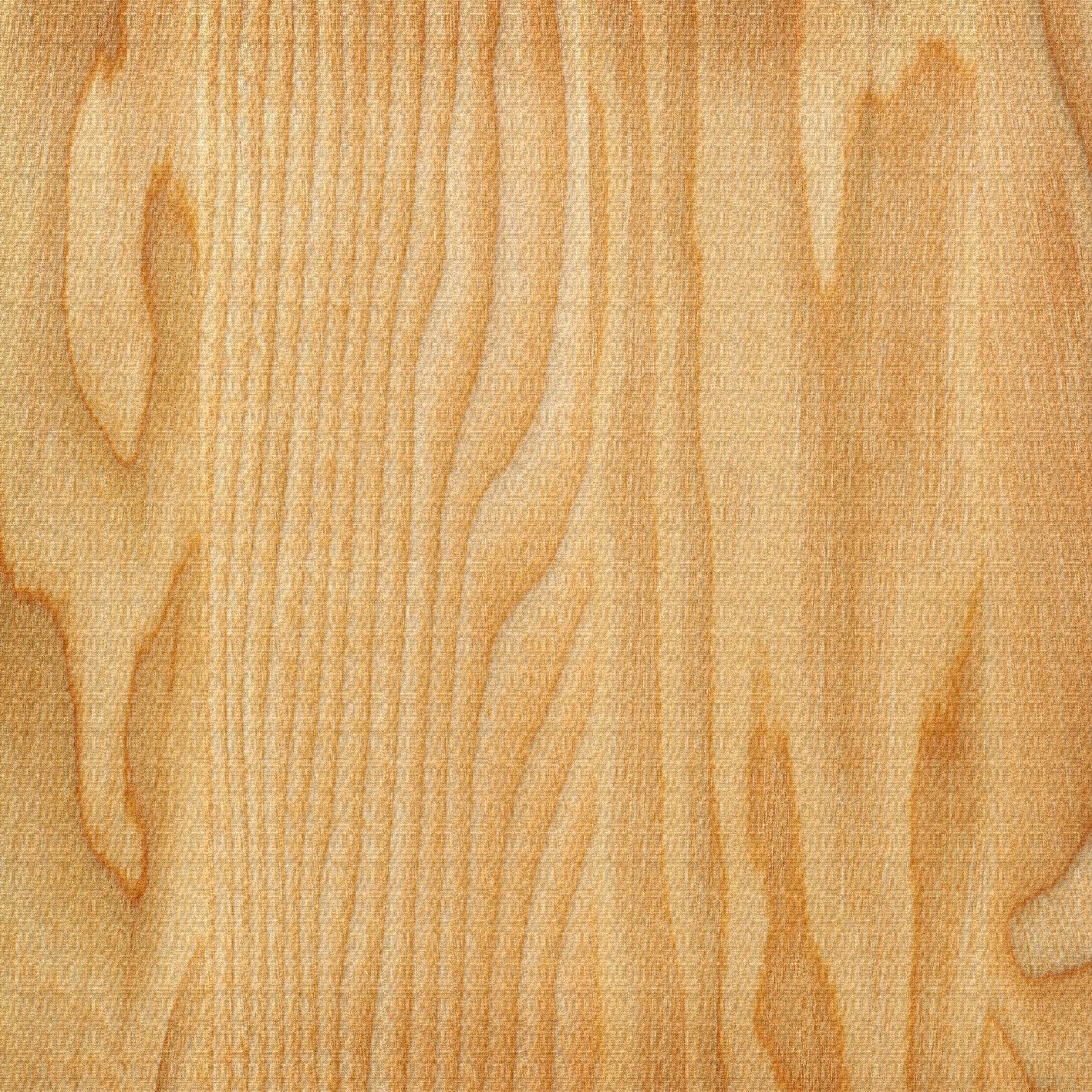 Wood Texture Long Tail  Presentation