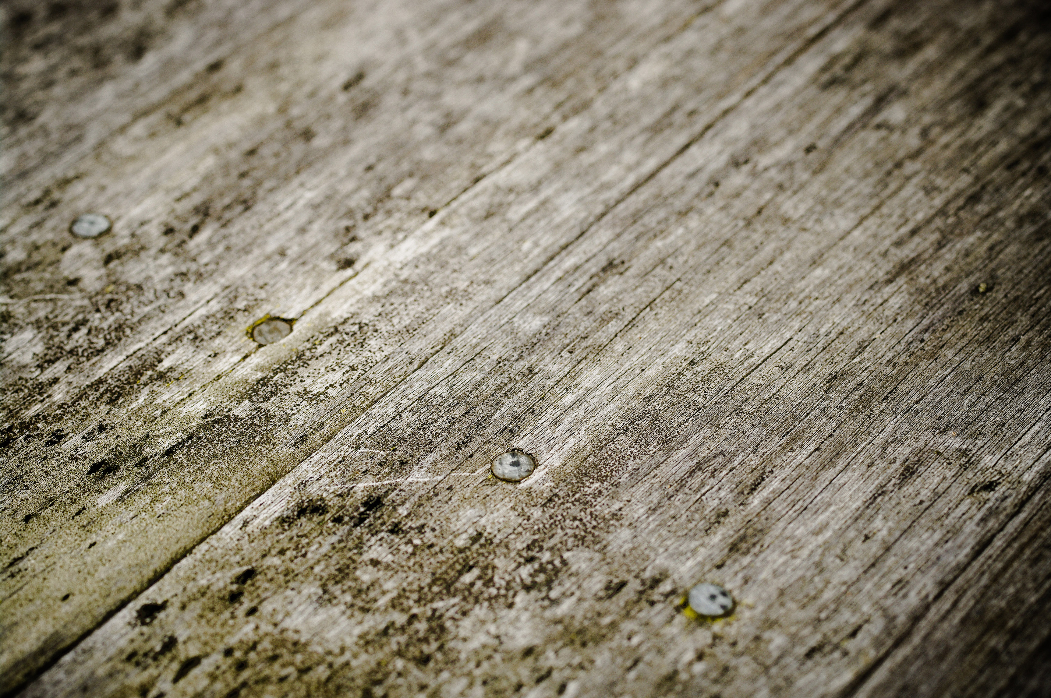 Wood Texture Of Floorboards