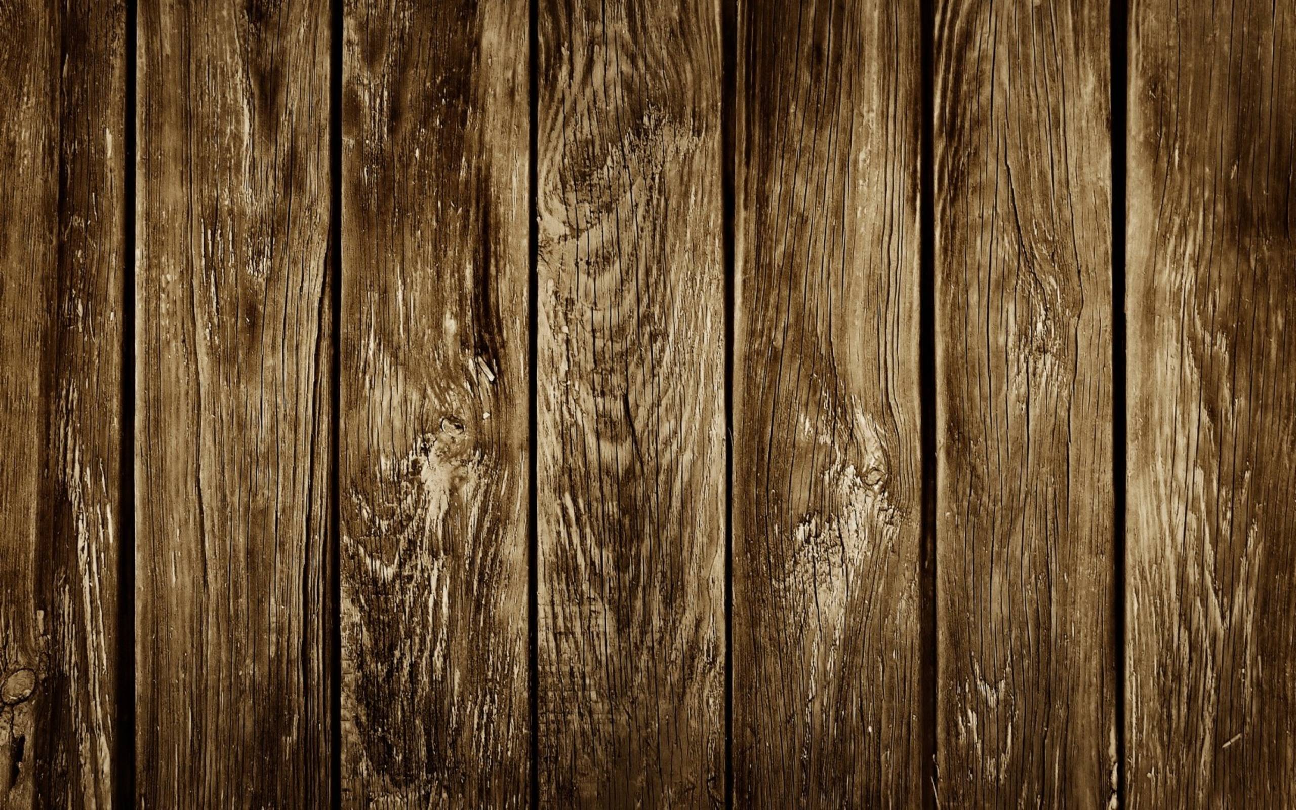 Wooden Woods Template