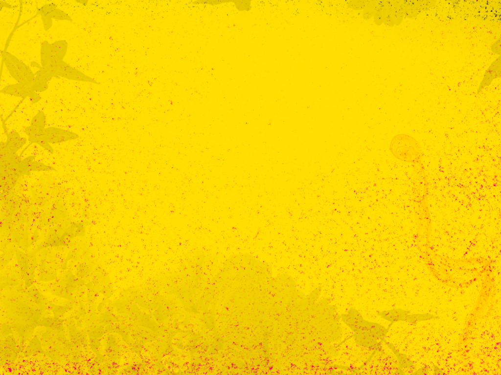 Yellow Wallpap   Template