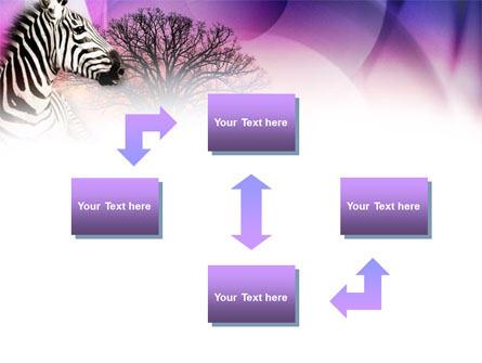 Zebra In Sunset Free PowerPoint Template  00845   Wallpaper