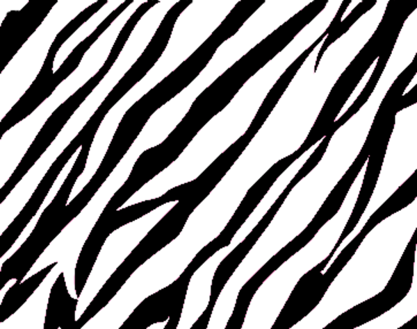 Zebra Print  Free Images At Clker   Vector Clip Art   Download
