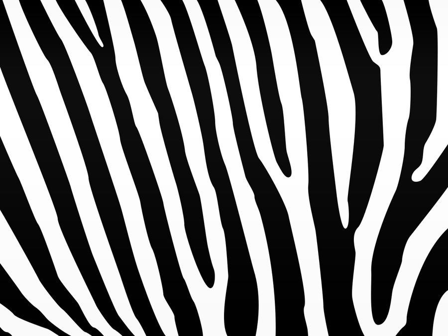 Zebra Print Clipart