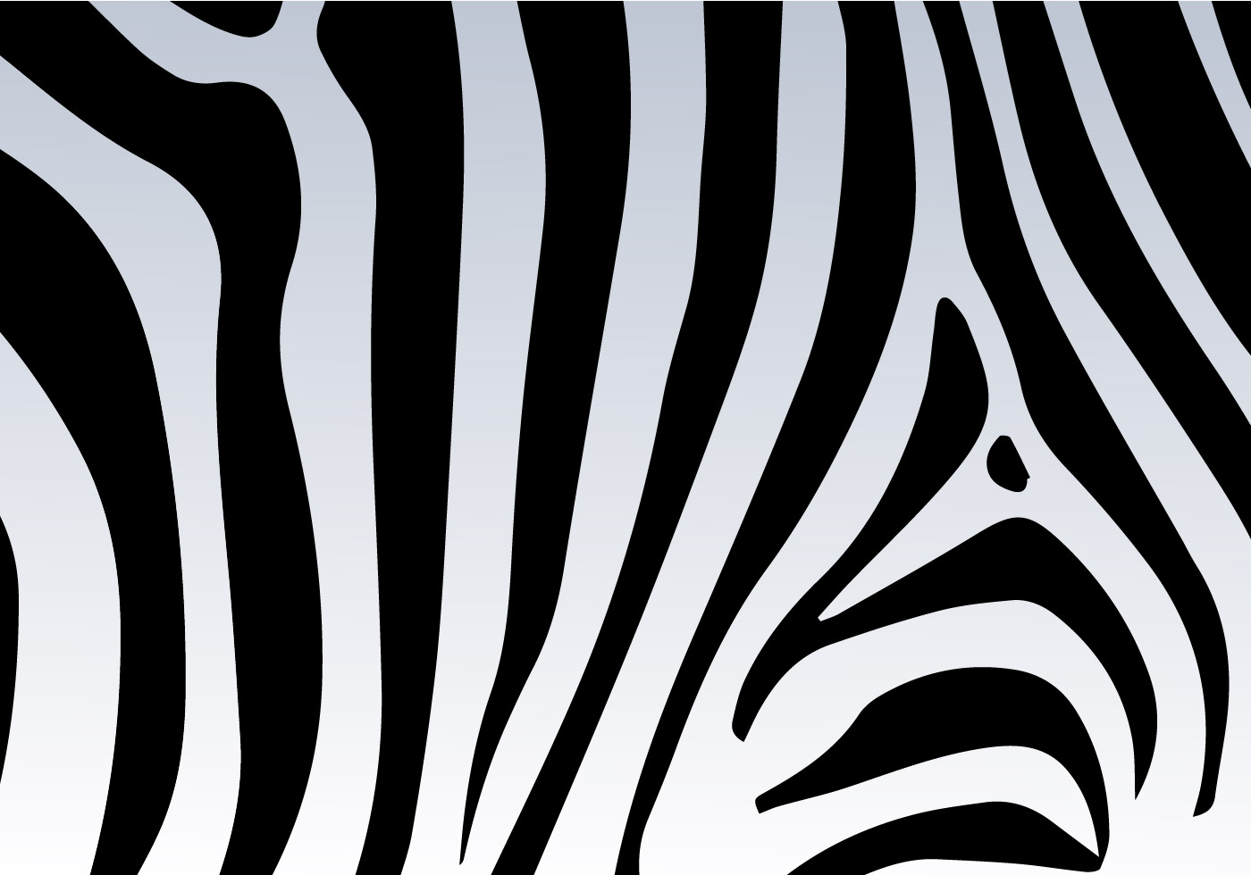 Zebra Print Vector  Free Vector Art Stock   Clip Art