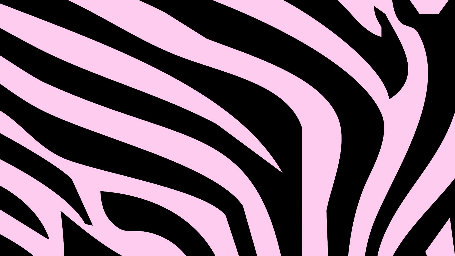 Zebra Prints Light Pink  HD Desktops Clip Art